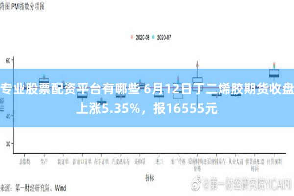 专业股票配资平台有哪些 6月12日丁二烯胶期货收盘上涨5.35%，报16555元