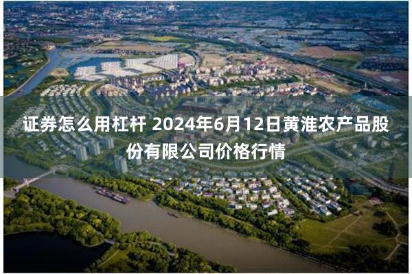 证券怎么用杠杆 2024年6月12日黄淮农产品股份有限公司价格行情