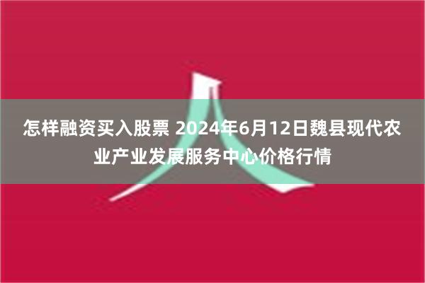 怎样融资买入股票 2024年6月12日魏县现代农业产业发展服务中心价格行情