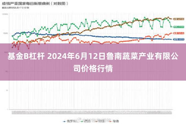 基金B杠杆 2024年6月12日鲁南蔬菜产业有限公司价格行情