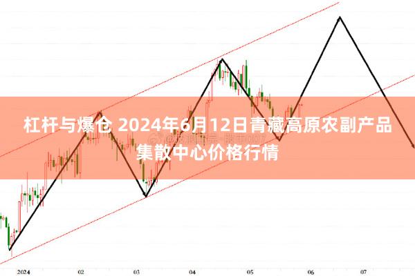 杠杆与爆仓 2024年6月12日青藏高原农副产品集散中心价格行情