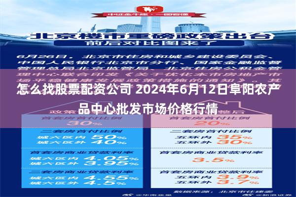 怎么找股票配资公司 2024年6月12日阜阳农产品中心批发市场价格行情