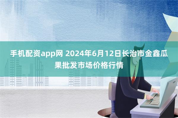 手机配资app网 2024年6月12日长治市金鑫瓜果批发市场价格行情