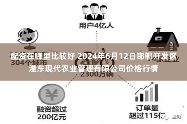 配资在哪里比较好 2024年6月12日邯郸开发区滏东现代农业管理有限公司价格行情