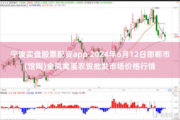 宁波实盘股票配资app 2024年6月12日邯郸市(馆陶)金凤禽蛋农贸批发市场价格行情