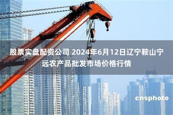 股票实盘配资公司 2024年6月12日辽宁鞍山宁远农产品批发市场价格行情