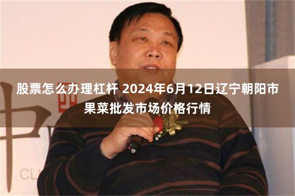 股票怎么办理杠杆 2024年6月12日辽宁朝阳市果菜批发市场价格行情