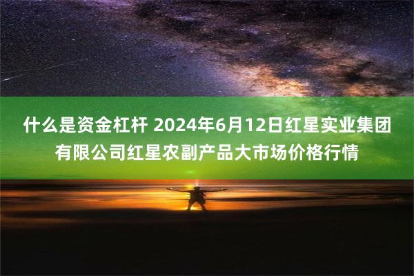 什么是资金杠杆 2024年6月12日红星实业集团有限公司红星农副产品大市场价格行情