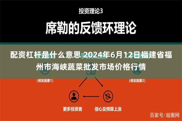 配资杠杆是什么意思 2024年6月12日福建省福州市海峡蔬菜批发市场价格行情