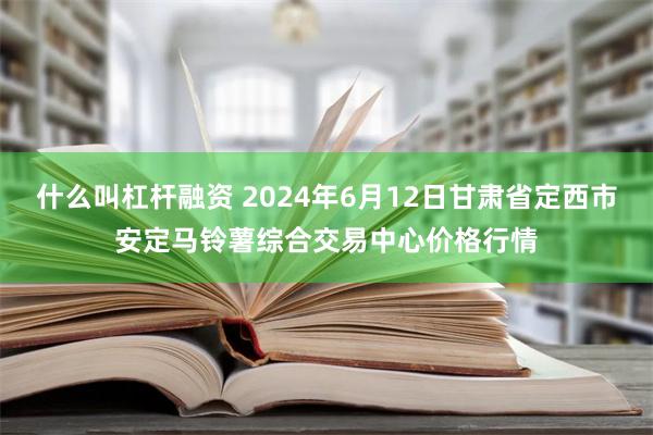 什么叫杠杆融资 2024年6月12日甘肃省定西市安定马铃薯综合交易中心价格行情