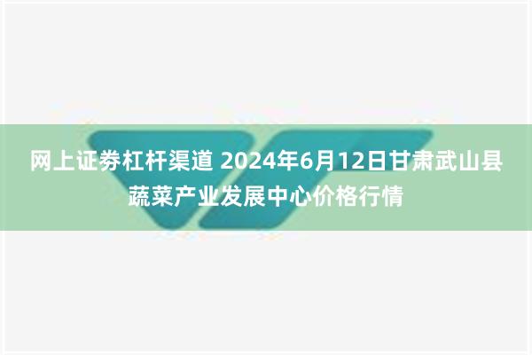 网上证劵杠杆渠道 2024年6月12日甘肃武山县蔬菜产业发展中心价格行情