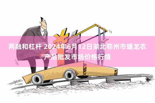 两融和杠杆 2024年6月12日湖北鄂州市蟠龙农产品批发市场价格行情