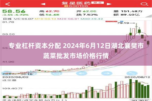 专业杠杆资本分配 2024年6月12日湖北襄樊市蔬菜批发市场价格行情