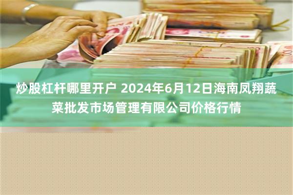 炒股杠杆哪里开户 2024年6月12日海南凤翔蔬菜批发市场管理有限公司价格行情