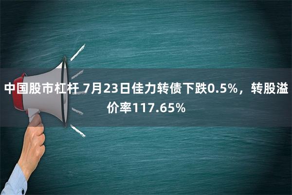 中国股市杠杆 7月23日佳力转债下跌0.5%，转股溢价率117.65%