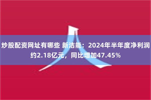 炒股配资网址有哪些 新洁能：2024年半年度净利润约2.18亿元，同比增加47.45%