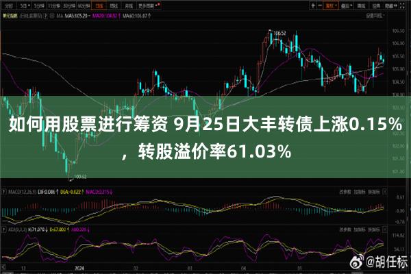 如何用股票进行筹资 9月25日大丰转债上涨0.15%，转股溢价率61.03%