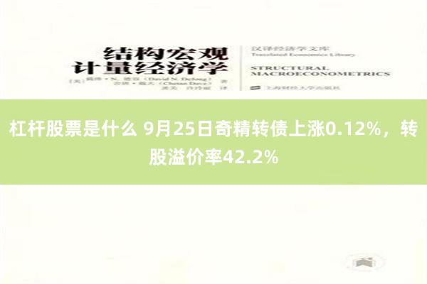 杠杆股票是什么 9月25日奇精转债上涨0.12%，转股溢价率42.2%