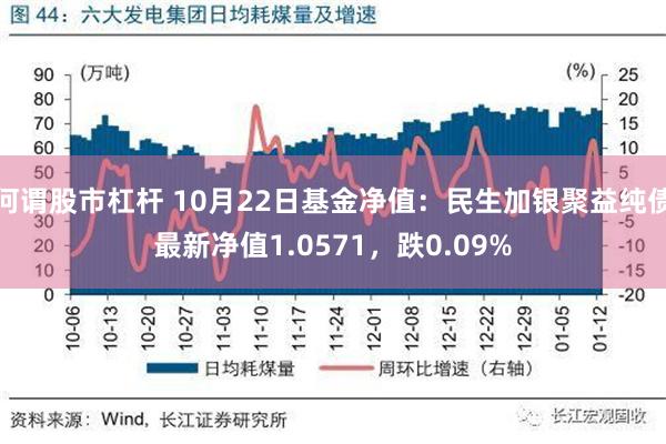 何谓股市杠杆 10月22日基金净值：民生加银聚益纯债最新净值1.0571，跌0.09%